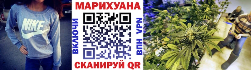 Купить где  Нея  Шишки марихуана план 
